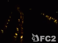 動画:toumyou2