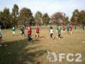 動画:20111113_1