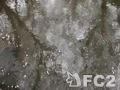 動画:桜の二ヶ領用水 ①